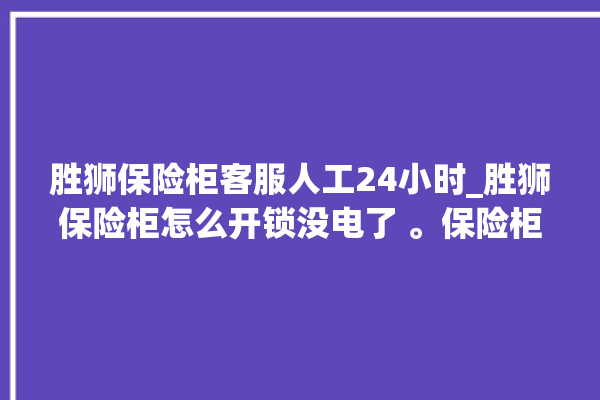 胜狮保险柜客服人工24小时_胜狮保险柜怎么开锁没电了 。保险柜