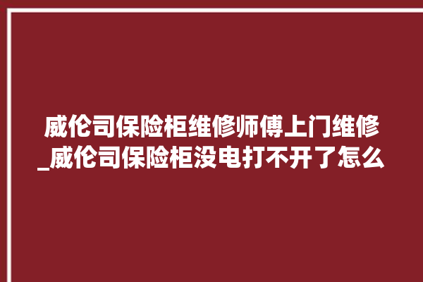 威伦司保险柜维修师傅上门维修_威伦司保险柜没电打不开了怎么办 。保险柜