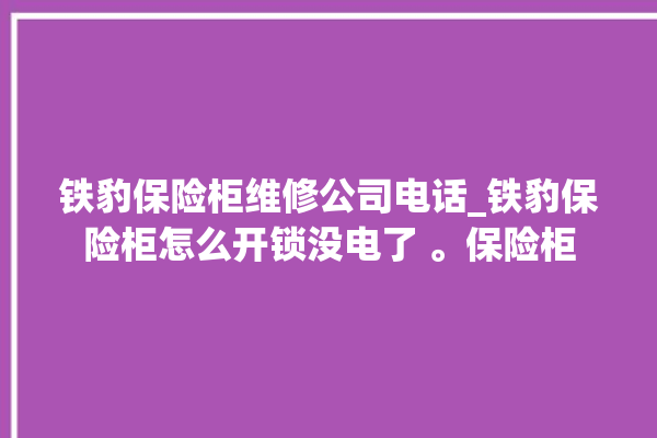 铁豹保险柜维修公司电话_铁豹保险柜怎么开锁没电了 。保险柜