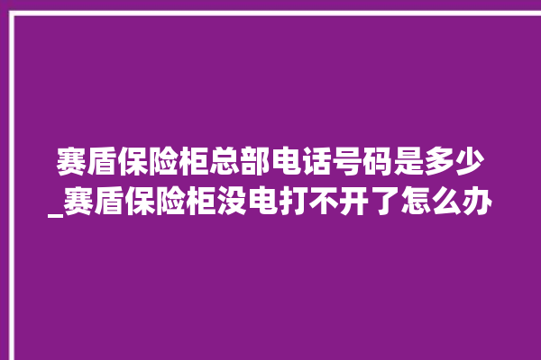 赛盾保险柜总部电话号码是多少_赛盾保险柜没电打不开了怎么办 。保险柜