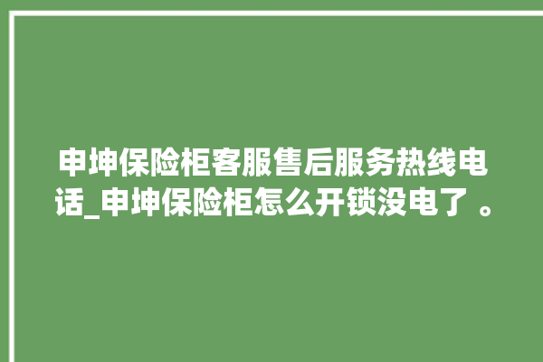 申坤保险柜客服售后服务热线电话_申坤保险柜怎么开锁没电了 。保险柜