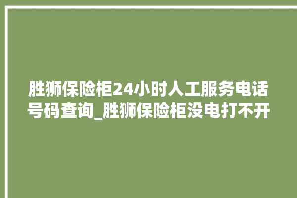 胜狮保险柜24小时人工服务电话号码查询_胜狮保险柜没电打不开了怎么办 。保险柜