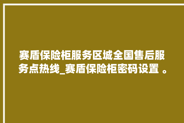 赛盾保险柜服务区城全国售后服务点热线_赛盾保险柜密码设置 。保险柜