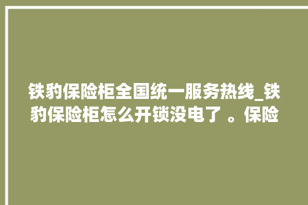 铁豹保险柜全国统一服务热线_铁豹保险柜怎么开锁没电了 。保险柜