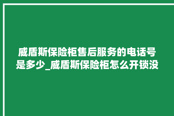 威盾斯保险柜售后服务的电话号是多少_威盾斯保险柜怎么开锁没电了 。保险柜