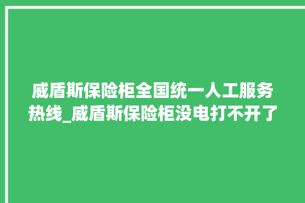 威盾斯保险柜全国统一人工服务热线_威盾斯保险柜没电打不开了怎么办 。保险柜