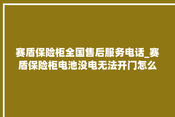 赛盾保险柜全国售后服务电话_赛盾保险柜电池没电无法开门怎么办 。保险柜