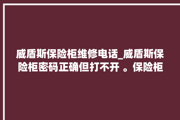 威盾斯保险柜维修电话_威盾斯保险柜密码正确但打不开 。保险柜