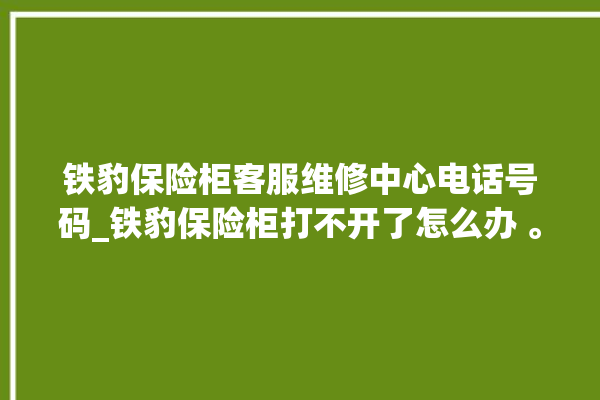 铁豹保险柜客服维修中心电话号码_铁豹保险柜打不开了怎么办 。保险柜