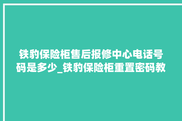 铁豹保险柜售后报修中心电话号码是多少_铁豹保险柜重置密码教程 。保险柜