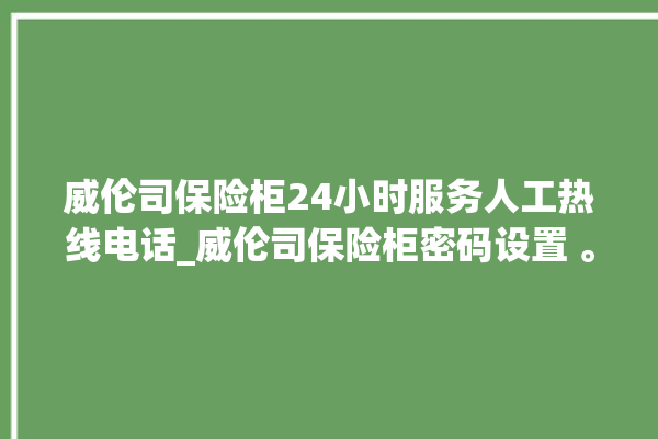 威伦司保险柜24小时服务人工热线电话_威伦司保险柜密码设置 。保险柜