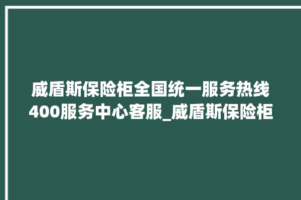 威盾斯保险柜全国统一服务热线400服务中心客服_威盾斯保险柜开锁步骤 。保险柜