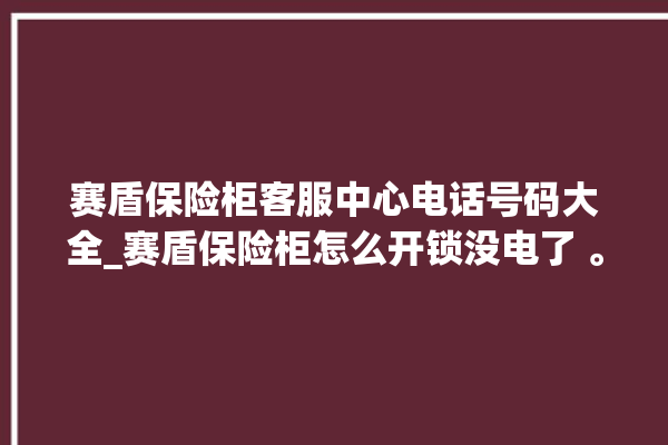 赛盾保险柜客服中心电话号码大全_赛盾保险柜怎么开锁没电了 。保险柜