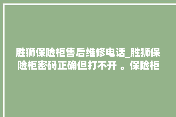 胜狮保险柜售后维修电话_胜狮保险柜密码正确但打不开 。保险柜