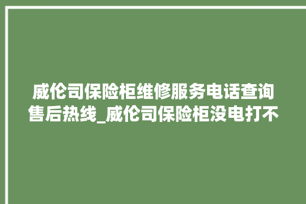 威伦司保险柜维修服务电话查询售后热线_威伦司保险柜没电打不开了怎么办 。保险柜