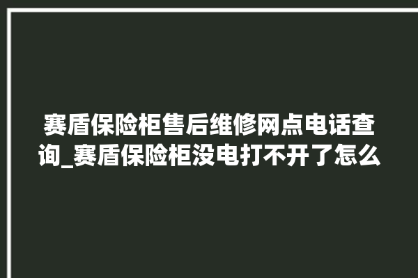 赛盾保险柜售后维修网点电话查询_赛盾保险柜没电打不开了怎么办 。保险柜