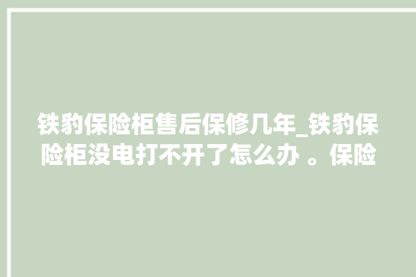 铁豹保险柜售后保修几年_铁豹保险柜没电打不开了怎么办 。保险柜