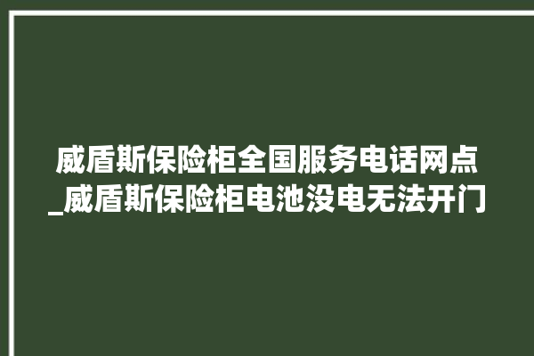 威盾斯保险柜全国服务电话网点_威盾斯保险柜电池没电无法开门怎么办 。保险柜