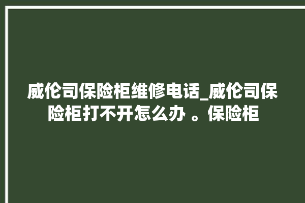 威伦司保险柜维修电话_威伦司保险柜打不开怎么办 。保险柜