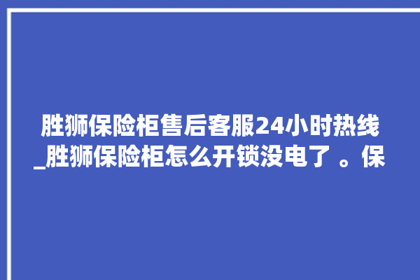 胜狮保险柜售后客服24小时热线_胜狮保险柜怎么开锁没电了 。保险柜