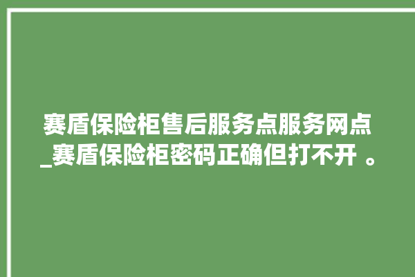 赛盾保险柜售后服务点服务网点_赛盾保险柜密码正确但打不开 。保险柜