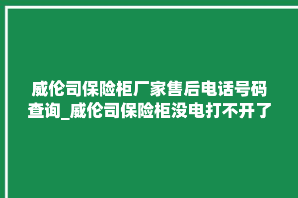 威伦司保险柜厂家售后电话号码查询_威伦司保险柜没电打不开了怎么办 。保险柜