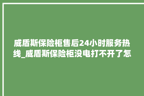 威盾斯保险柜售后24小时服务热线_威盾斯保险柜没电打不开了怎么办 。保险柜