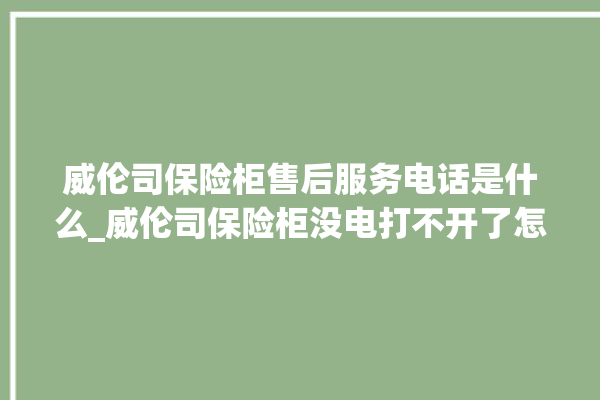 威伦司保险柜售后服务电话是什么_威伦司保险柜没电打不开了怎么办 。保险柜