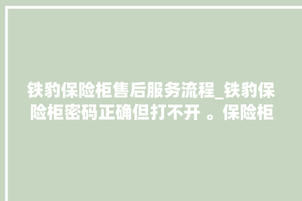 铁豹保险柜售后服务流程_铁豹保险柜密码正确但打不开 。保险柜