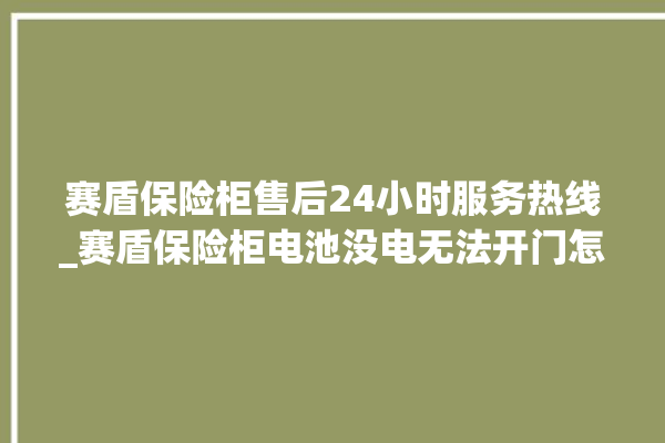 赛盾保险柜售后24小时服务热线_赛盾保险柜电池没电无法开门怎么办 。保险柜