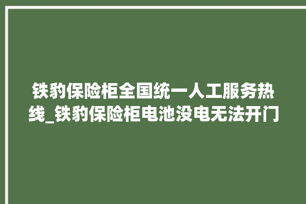 铁豹保险柜全国统一人工服务热线_铁豹保险柜电池没电无法开门怎么办 。保险柜