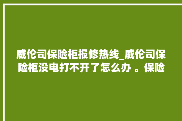 威伦司保险柜报修热线_威伦司保险柜没电打不开了怎么办 。保险柜