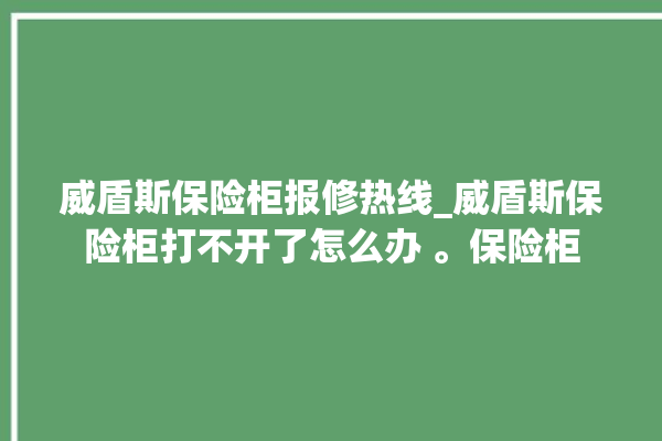 威盾斯保险柜报修热线_威盾斯保险柜打不开了怎么办 。保险柜