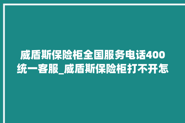 威盾斯保险柜全国服务电话400统一客服_威盾斯保险柜打不开怎么办 。保险柜