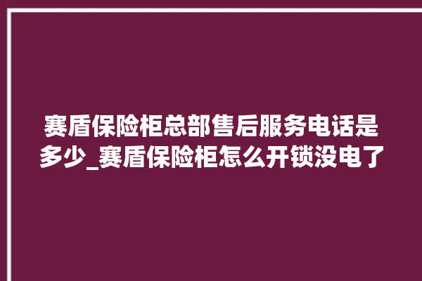 赛盾保险柜总部售后服务电话是多少_赛盾保险柜怎么开锁没电了 。保险柜