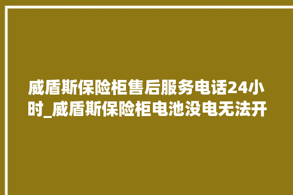 威盾斯保险柜售后服务电话24小时_威盾斯保险柜电池没电无法开门怎么办 。保险柜