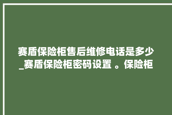 赛盾保险柜售后维修电话是多少_赛盾保险柜密码设置 。保险柜