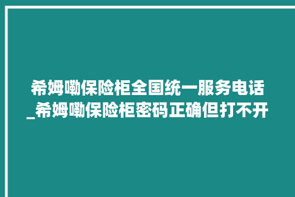 希姆嘞保险柜全国统一服务电话_希姆嘞保险柜密码正确但打不开 。保险柜