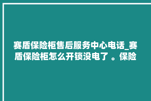 赛盾保险柜售后服务中心电话_赛盾保险柜怎么开锁没电了 。保险柜