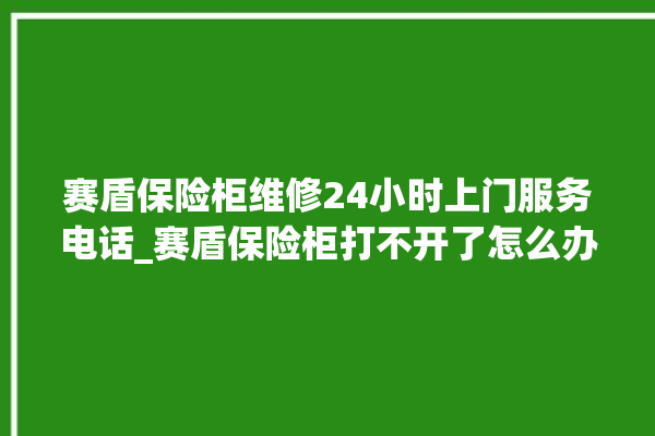 赛盾保险柜维修24小时上门服务电话_赛盾保险柜打不开了怎么办 。保险柜