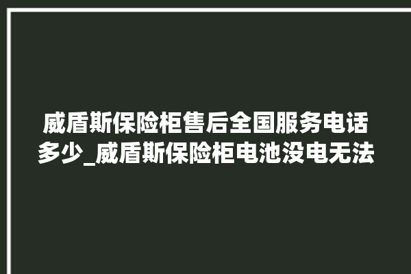 威盾斯保险柜售后全国服务电话多少_威盾斯保险柜电池没电无法开门怎么办 。保险柜