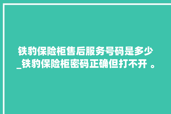 铁豹保险柜售后服务号码是多少_铁豹保险柜密码正确但打不开 。保险柜