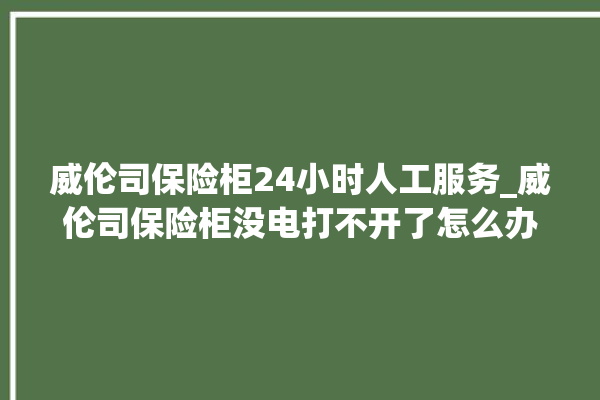 威伦司保险柜24小时人工服务_威伦司保险柜没电打不开了怎么办 。保险柜