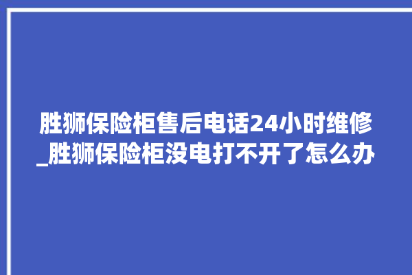 胜狮保险柜售后电话24小时维修_胜狮保险柜没电打不开了怎么办 。保险柜