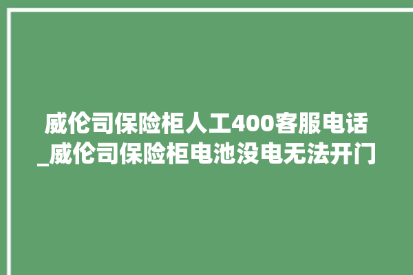 威伦司保险柜人工400客服电话_威伦司保险柜电池没电无法开门怎么办 。保险柜