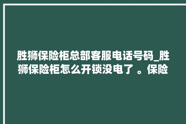 胜狮保险柜总部客服电话号码_胜狮保险柜怎么开锁没电了 。保险柜