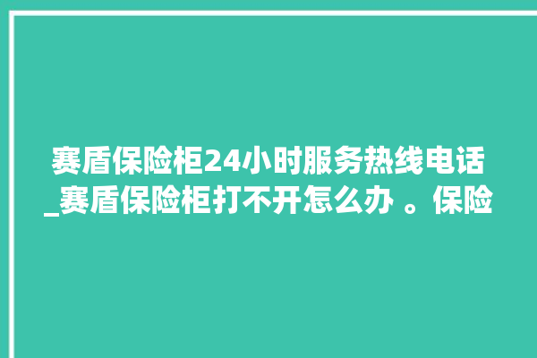 赛盾保险柜24小时服务热线电话_赛盾保险柜打不开怎么办 。保险柜