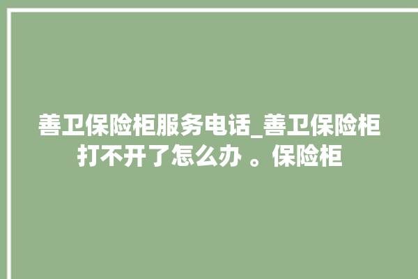 善卫保险柜服务电话_善卫保险柜打不开了怎么办 。保险柜