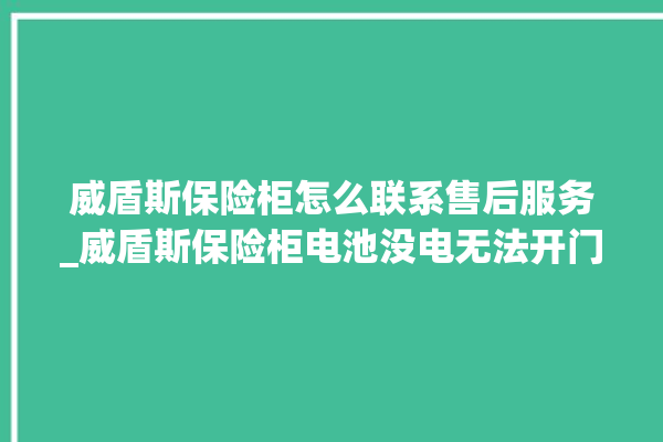 威盾斯保险柜怎么联系售后服务_威盾斯保险柜电池没电无法开门怎么办 。保险柜