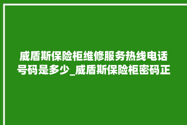 威盾斯保险柜维修服务热线电话号码是多少_威盾斯保险柜密码正确但打不开 。保险柜